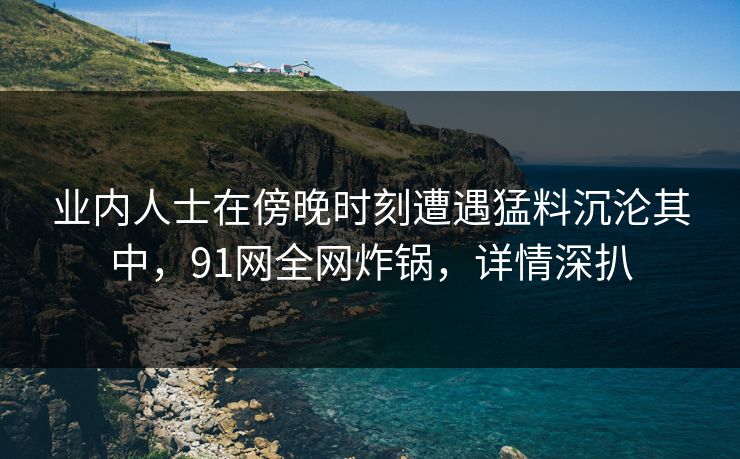 业内人士在傍晚时刻遭遇猛料沉沦其中，91网全网炸锅，详情深扒