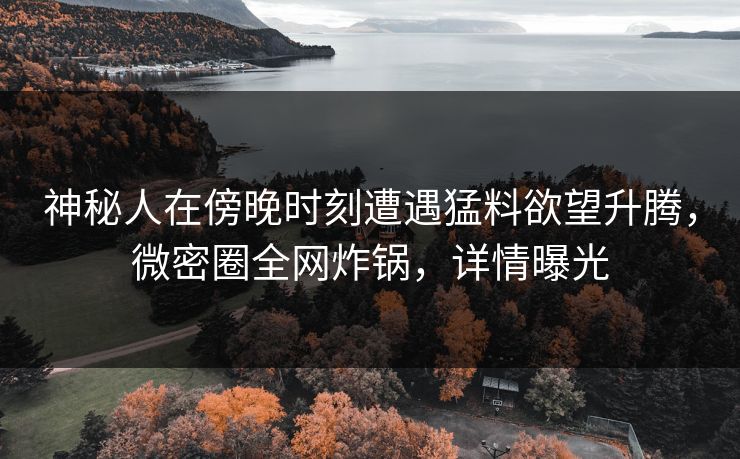 神秘人在傍晚时刻遭遇猛料欲望升腾，微密圈全网炸锅，详情曝光